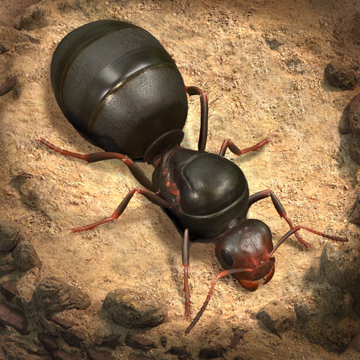 The Ants: Underground Kingdom - пополнение по ID